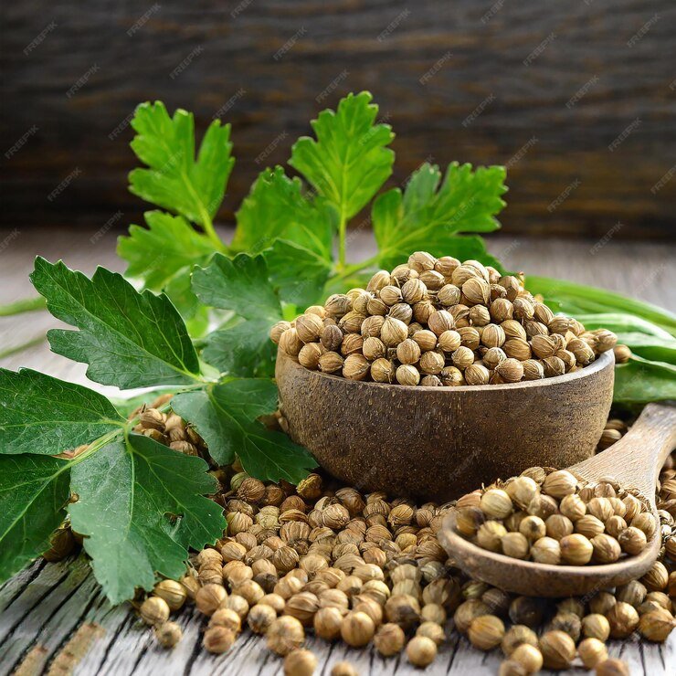 bunch-fresh-coriander-leaves-coriander-seeds-white-background_781325-18088