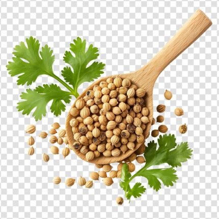 Spice Coriander Seeds